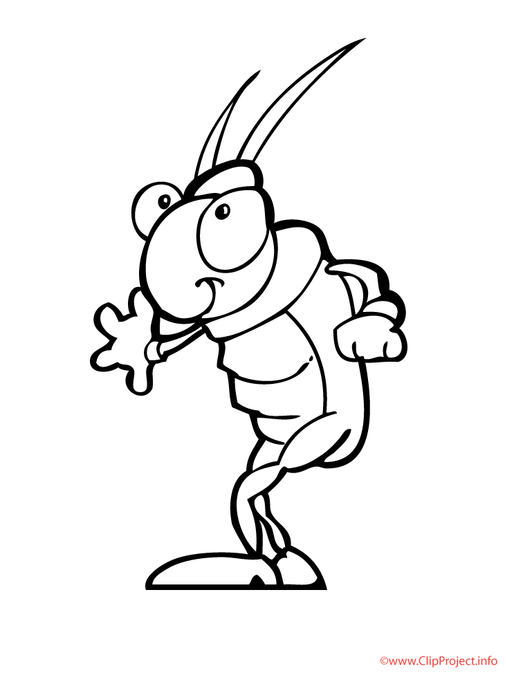 Grillon Dessin Grillon coloriage Animaux coloriages gratuit dessin