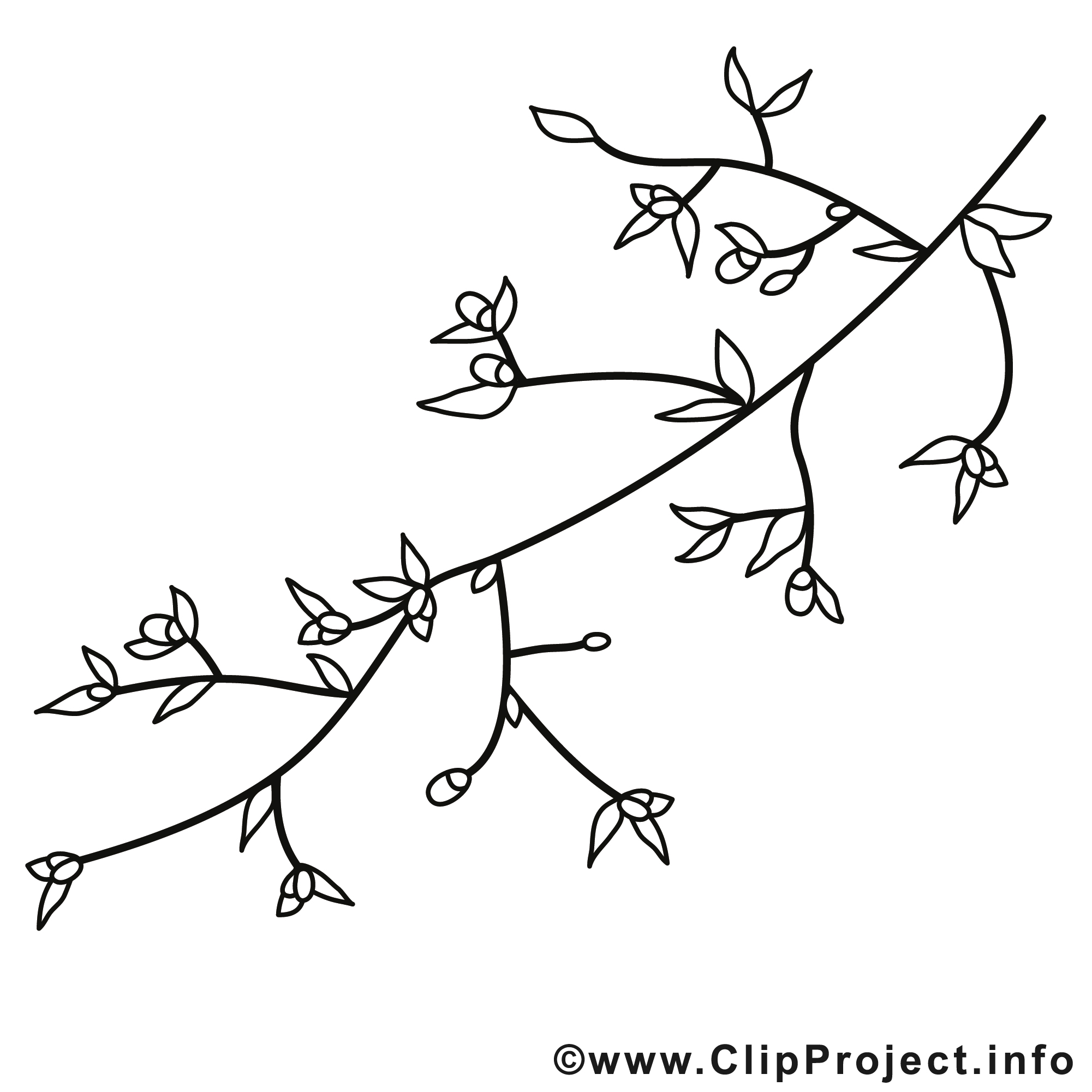 Branche dessin – Coloriage printemps à télécharger - Printemps
