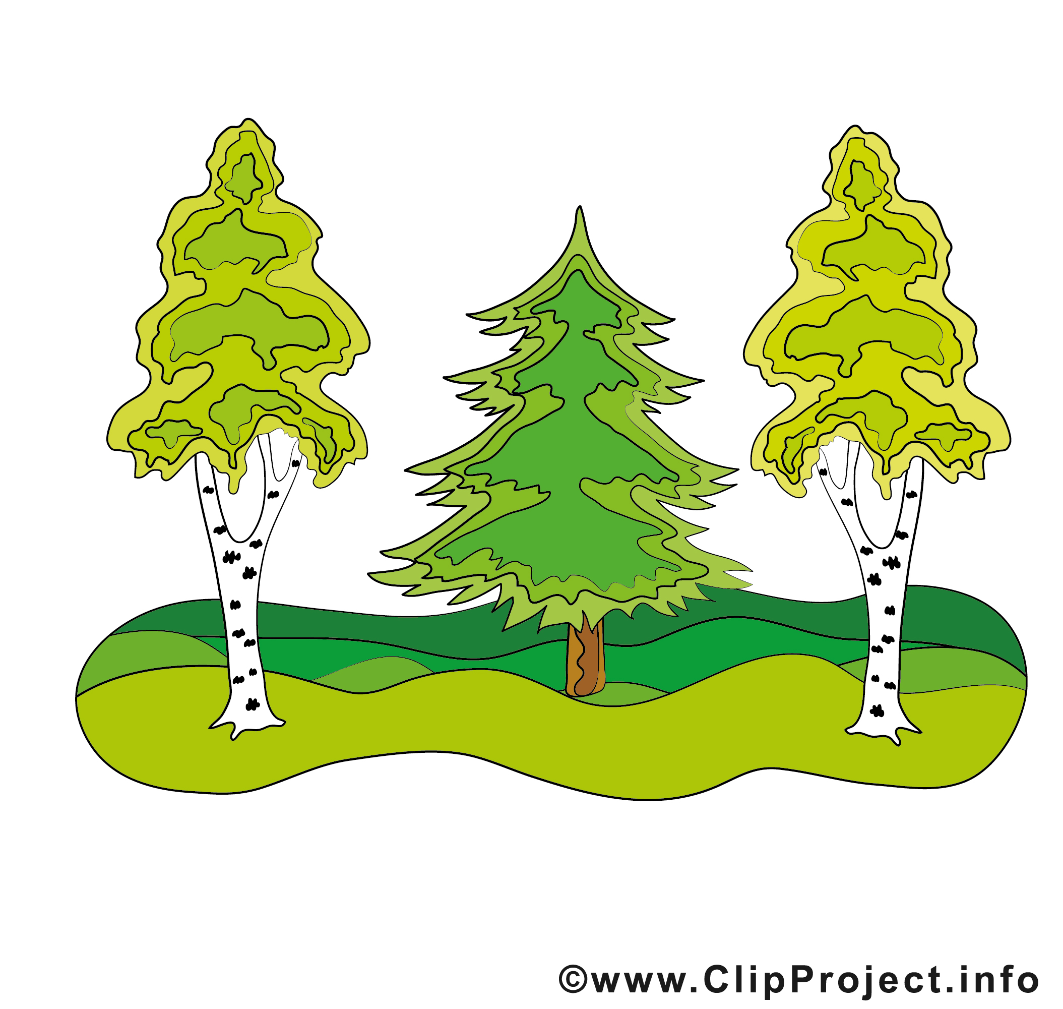 Clipart Gratuit Arbre