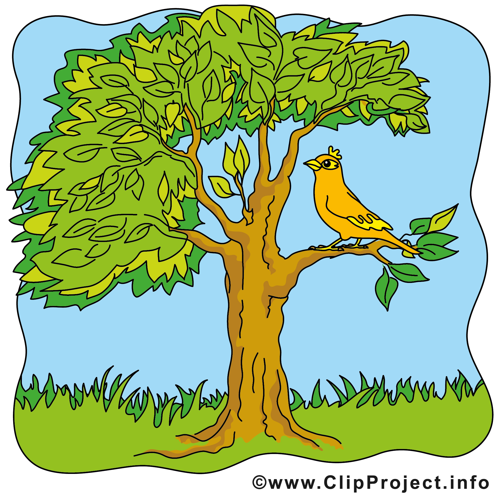 clipart gratuit arbre - photo #5
