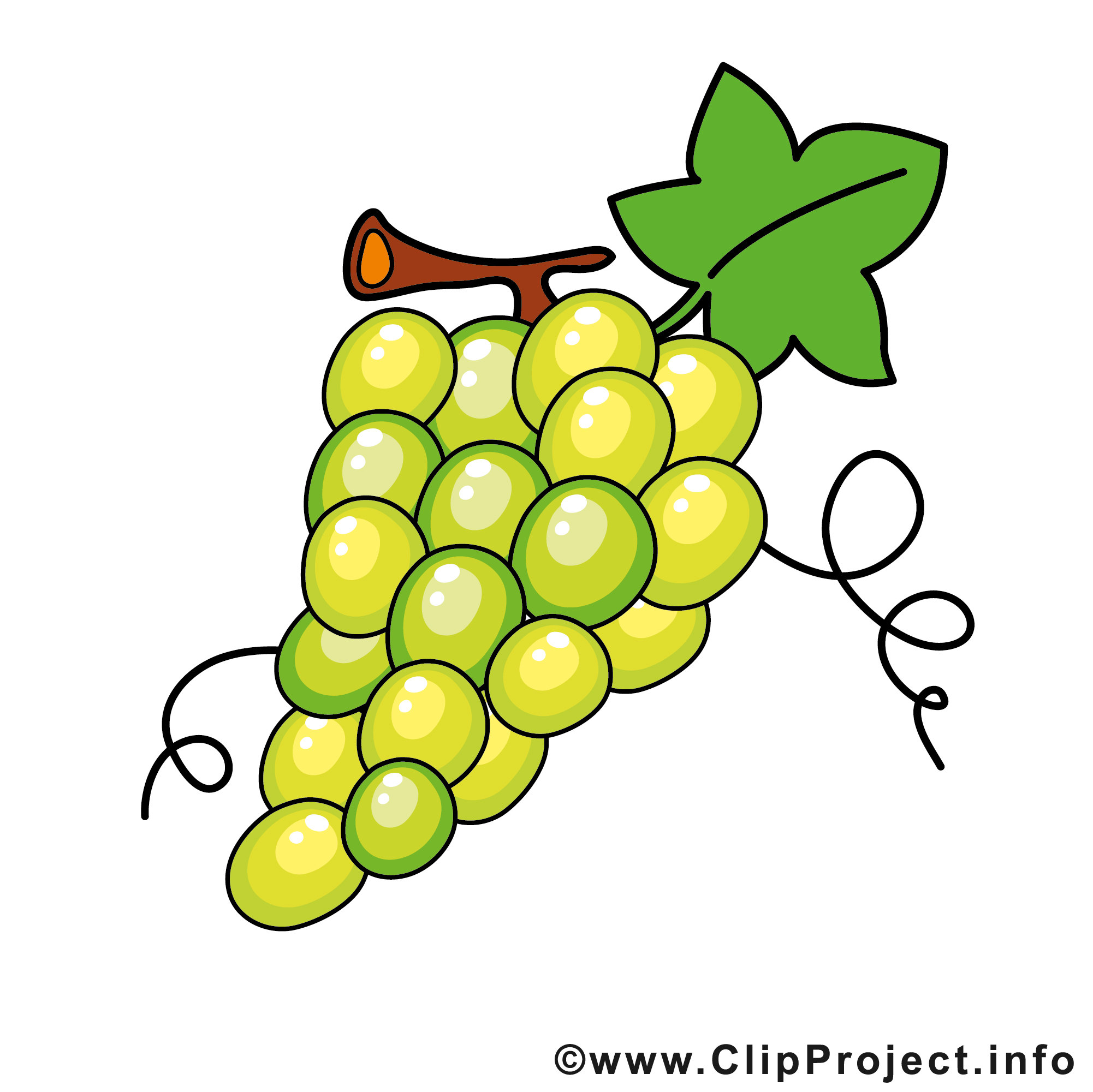 clipart gratuit fruits et légumes - photo #17