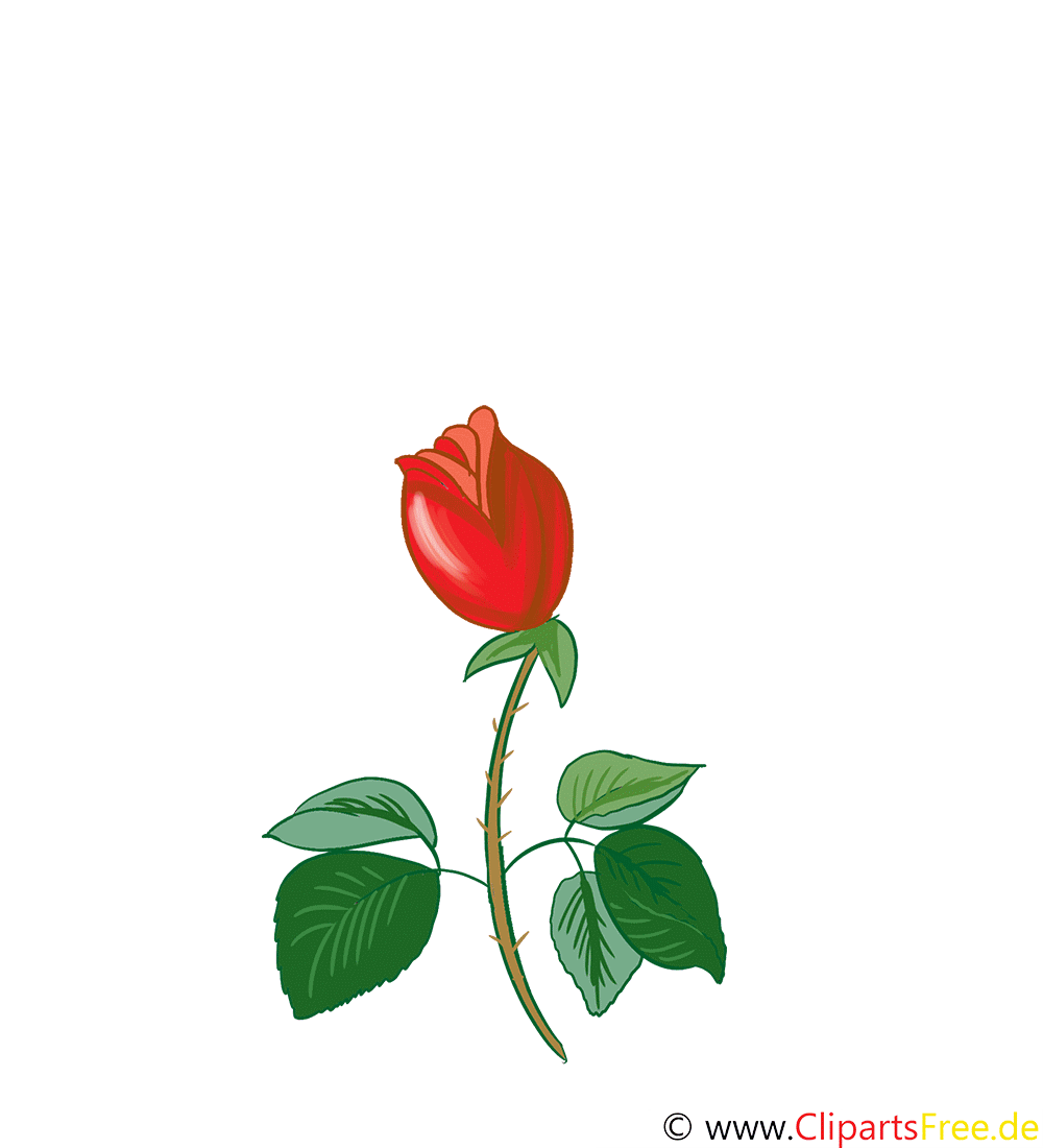 rose clipart gratuit animation images 6143