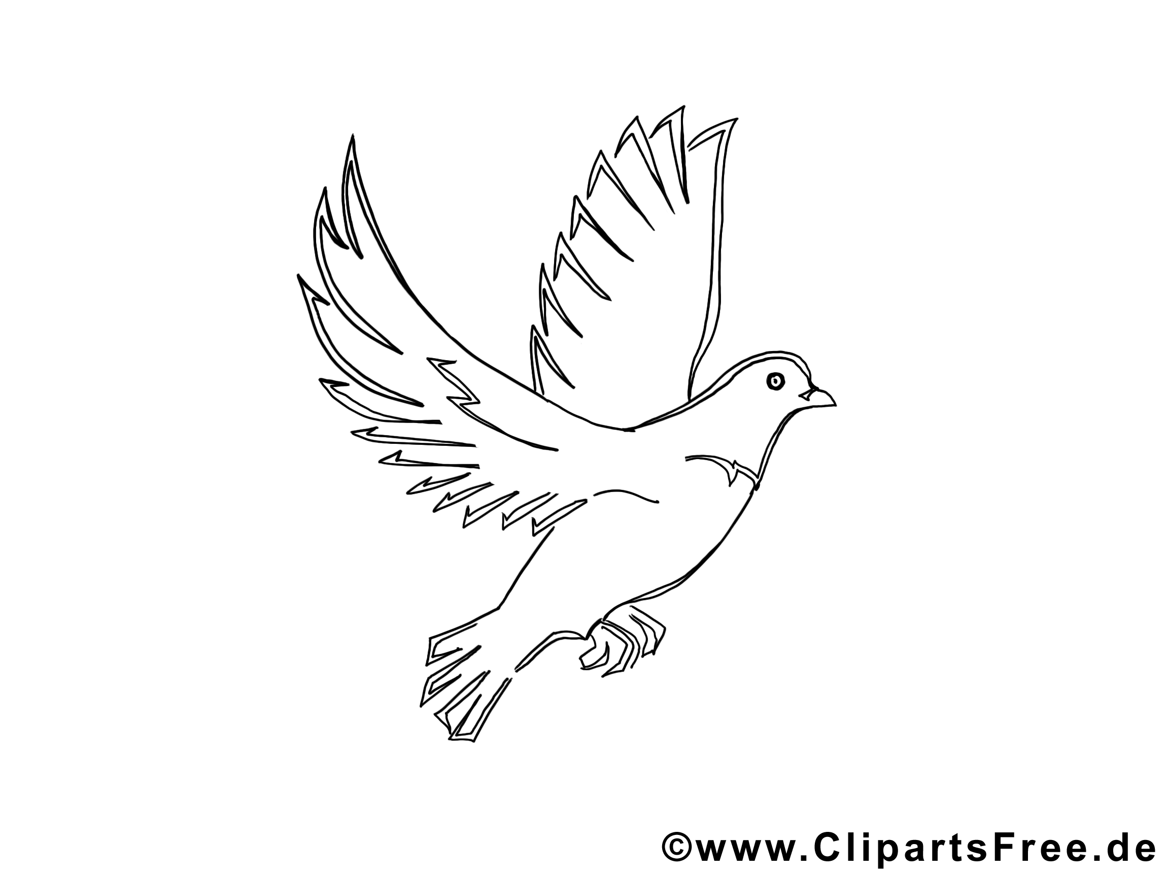 clipart gratuit colombe - photo #24