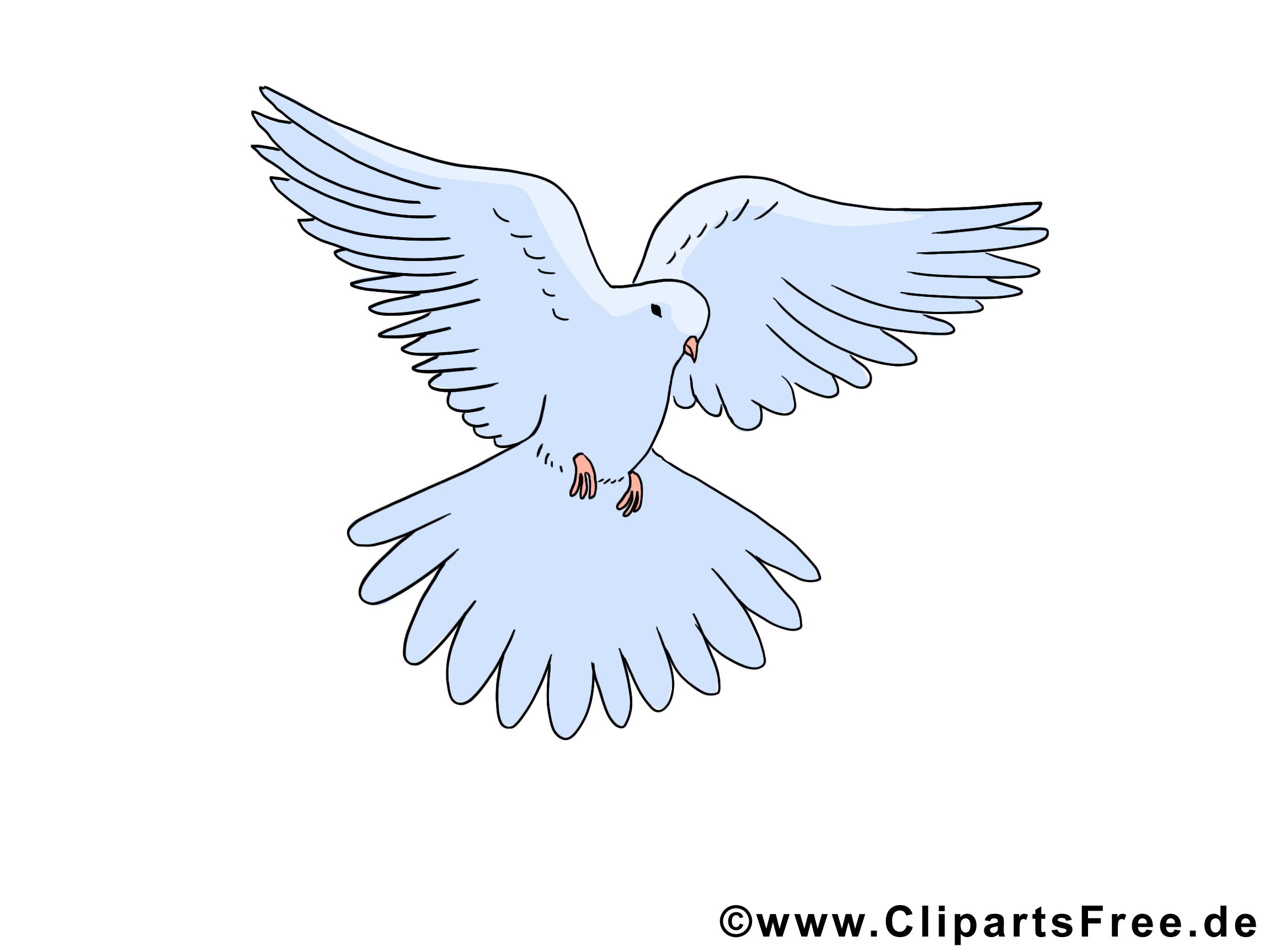 clipart gratuit colombe - photo #36