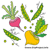 images clipart fruits légumes - photo #35
