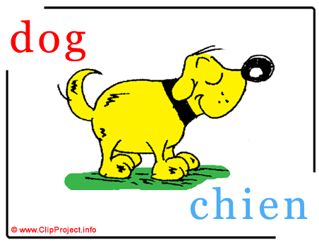 Dog - chien abc image Dictionnaire Anglais Français