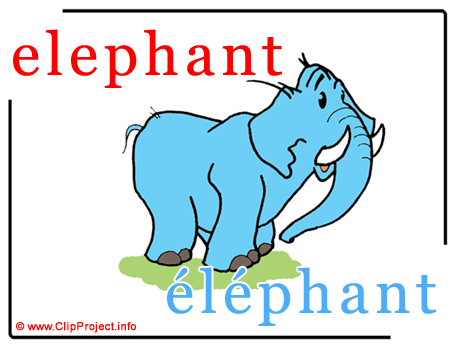 Elephant - éléphant abc image Dictionnaire Anglais Français