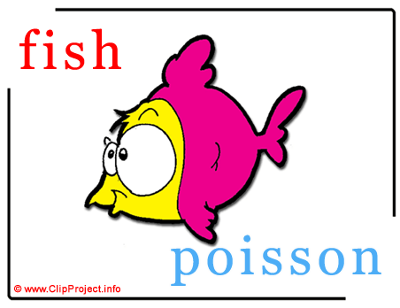 Fish - poisson abc image dictionnaire anglais francais