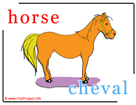 Horse - cheval abc image dictionnaire anglais francais