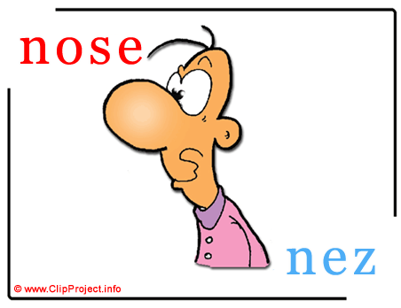 Nose - nez abc image dictionnaire anglais francais