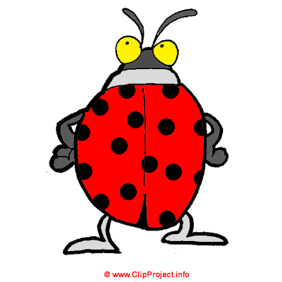 Coccinelle clipart gratuit