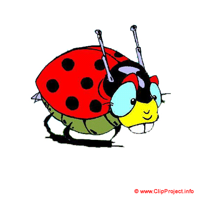 Coccinelle clipart gratuite