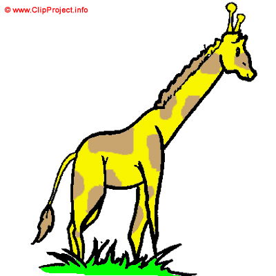 Girafe images gratuites