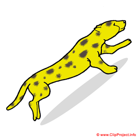 Guepard clipart gratuit