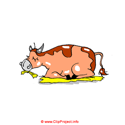 Image vache gratuites