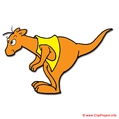 Kangourou australie image gratuite