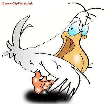 Pelican clipart gratuit