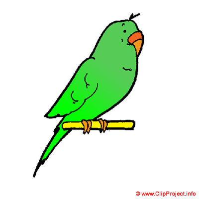 Perroquet vert images gratuites