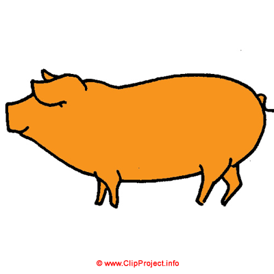 Porc clipart gratuit