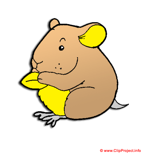 Souris grise clipart gratuit