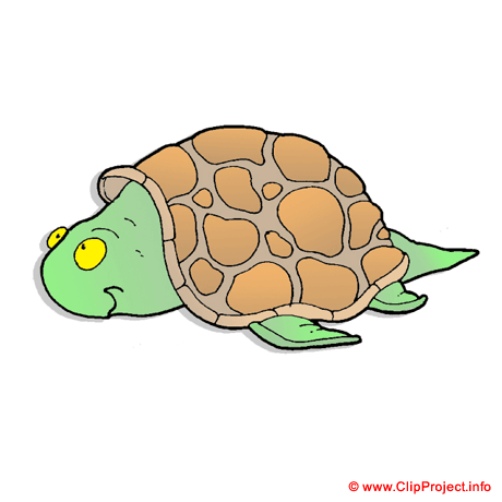 Tortue clipart gratuit