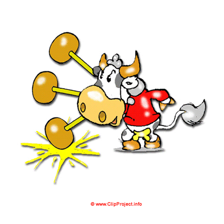 Vache en colere images gratuites