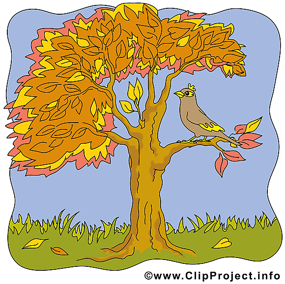 Arbre dessin – Automne clip arts gratuits