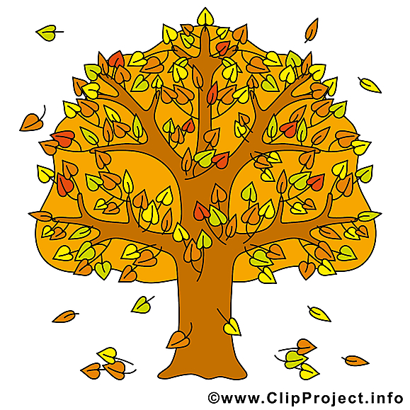 Arbre images gratuites – Automne clipart