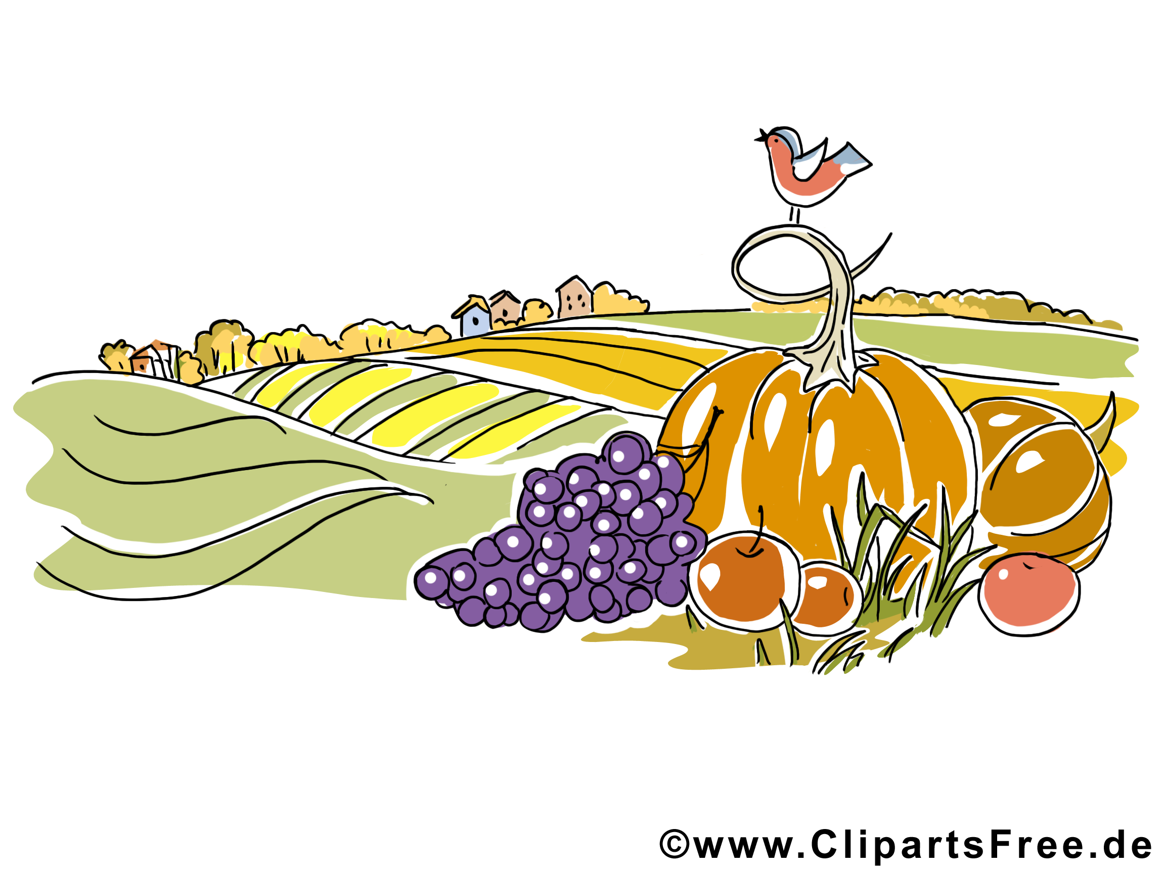 Champ légumes image gratuite – Automne illustration