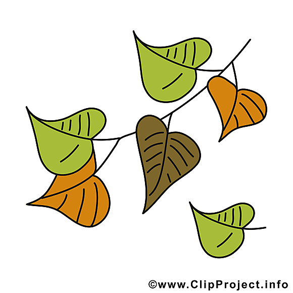 Chute des feuilles clipart gratuit – Automne images