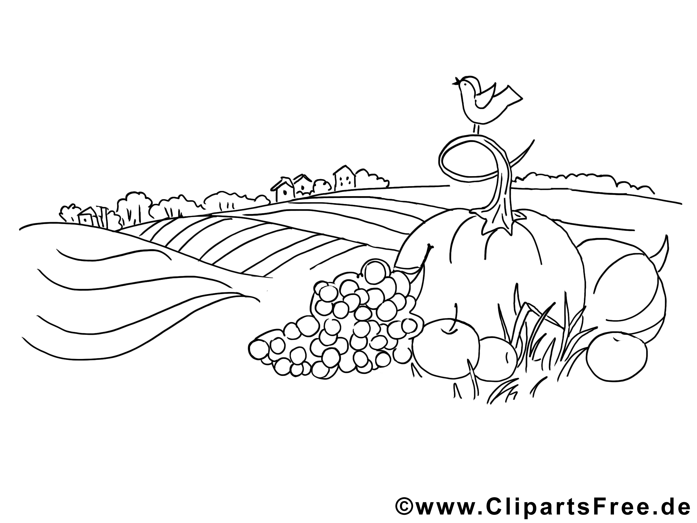 Coloriage illustration légumes – Automne clipart