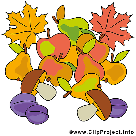 Fruits feuilles illustration – Automne images