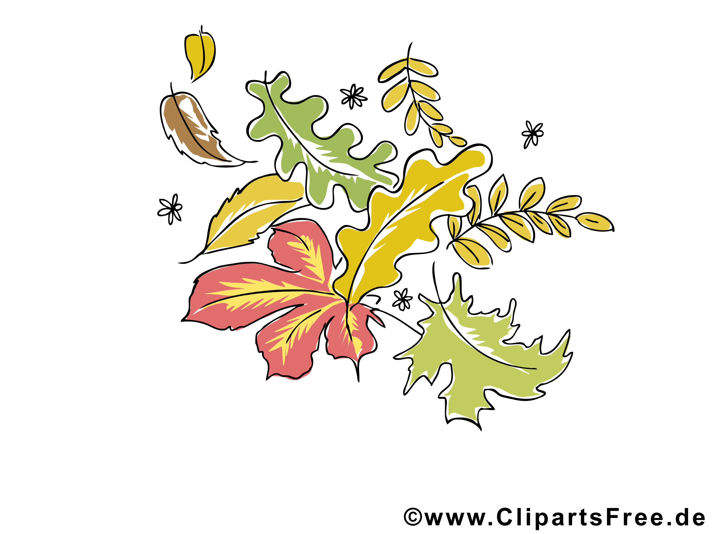 Image gratuite feuilles – Automne cliparts