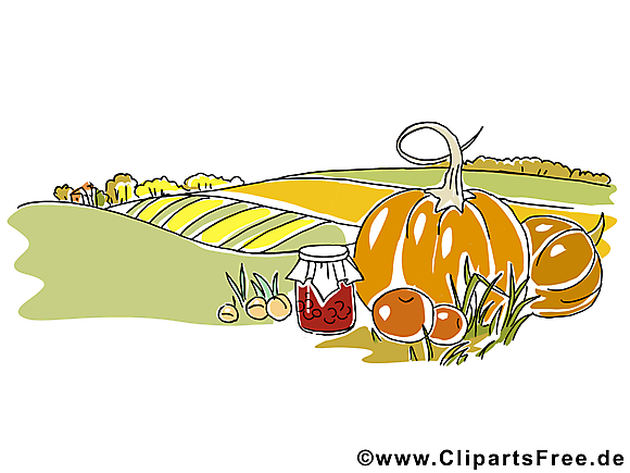 Légumes champ clip art – Automne  image gratuite