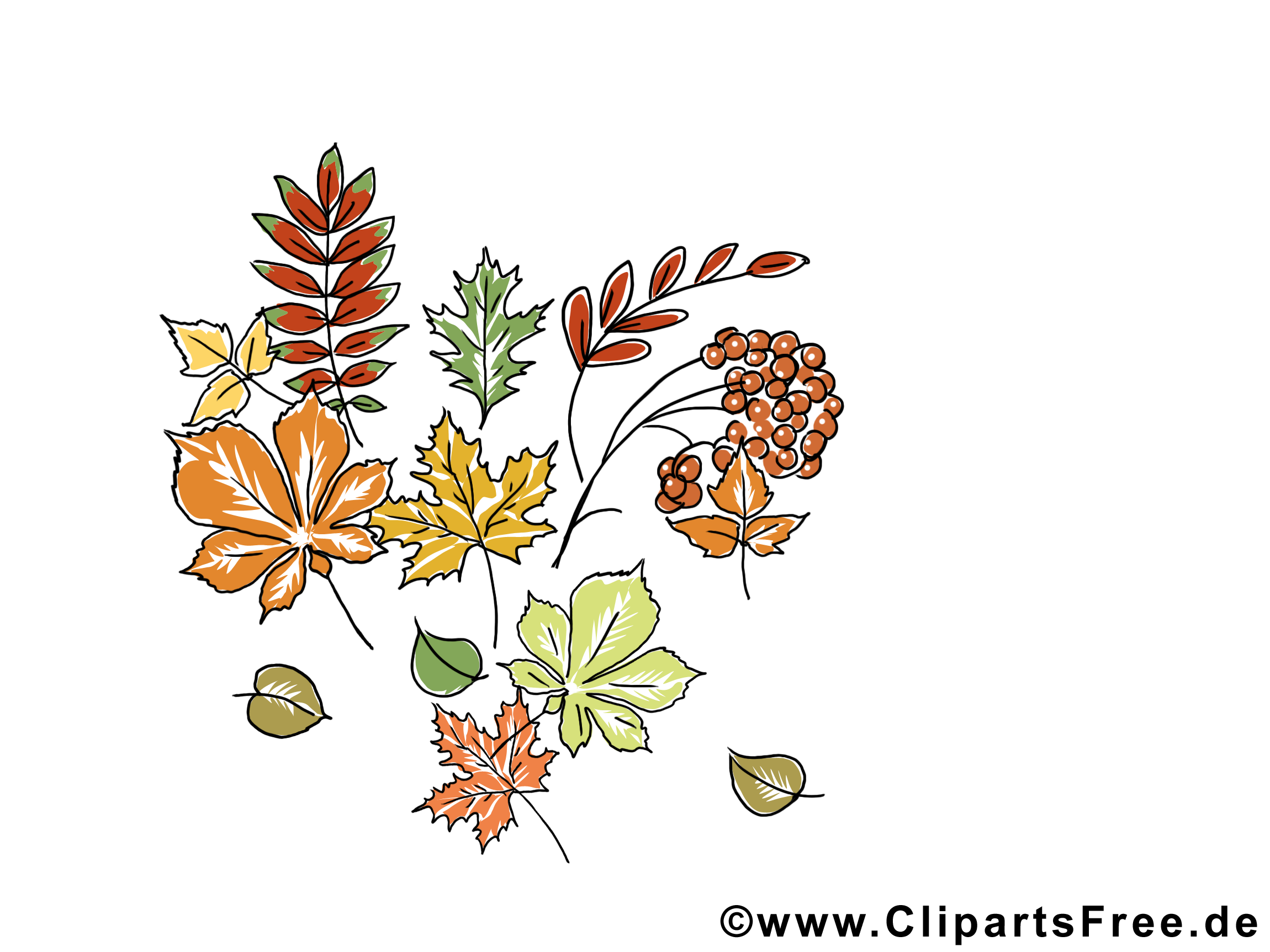 Sorbier feuilles dessin – Automne à télécharger