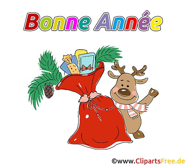 Image bonne année