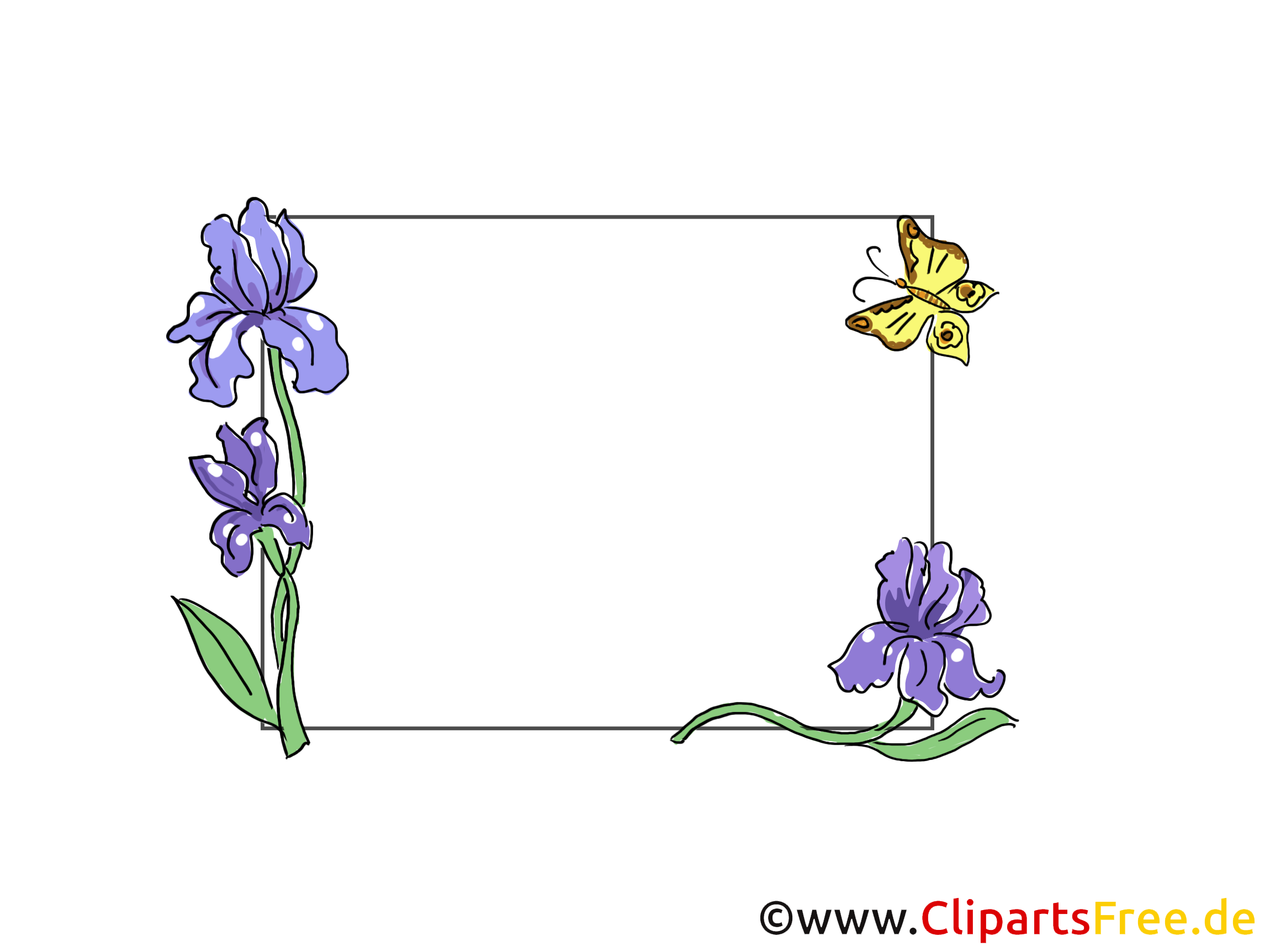Papillon image – Cadre images cliparts