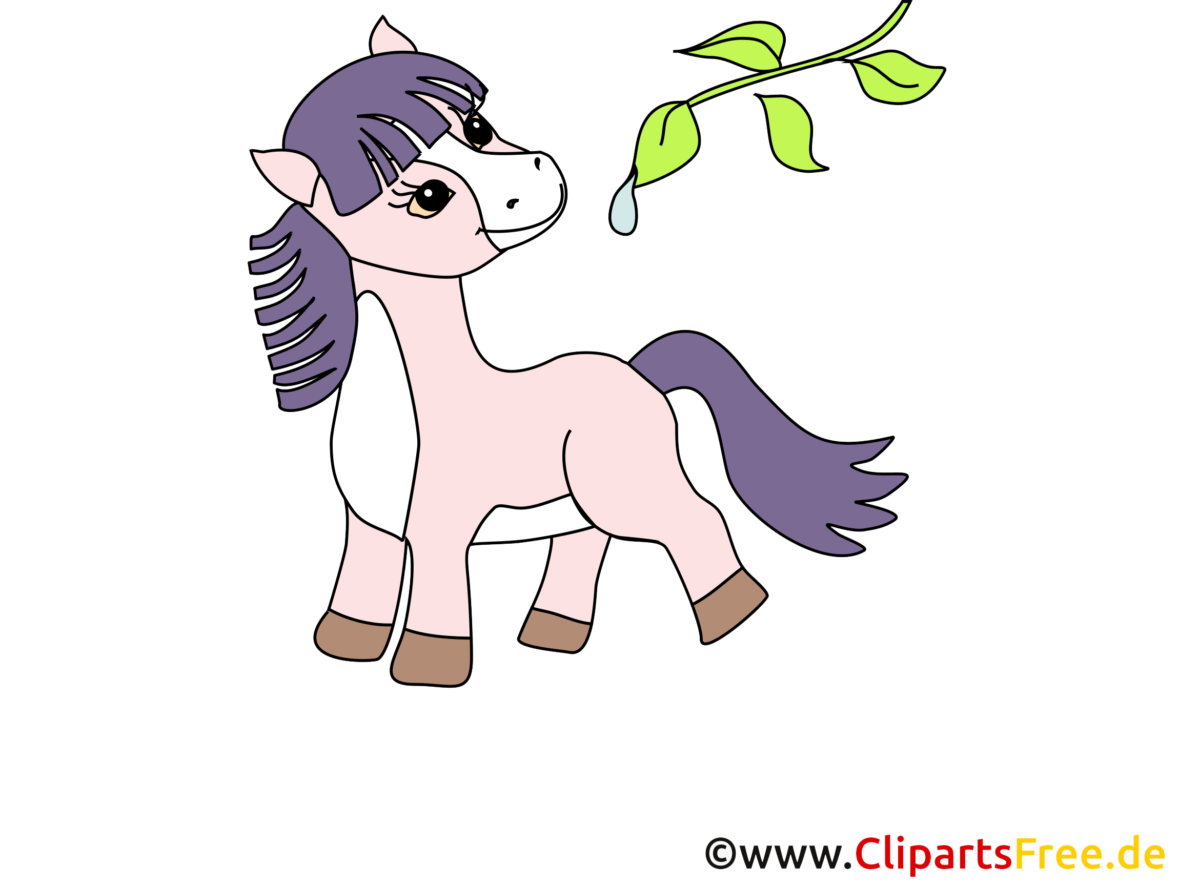 Petit cheval image gratuite clipart