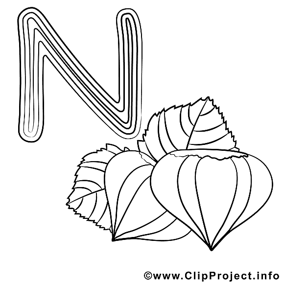 Nut clipart – Alphabet anglais dessins à colorier