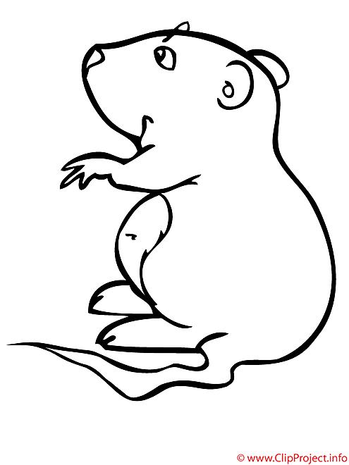 Hamster coloriage