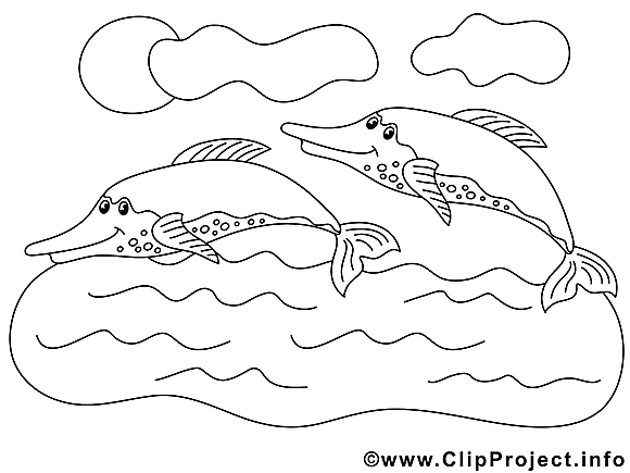 Dauphins image – Coloriage animal illustration