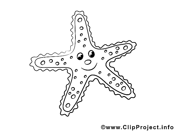 Étoile de mer dessin à télécharger – Animal à colorier