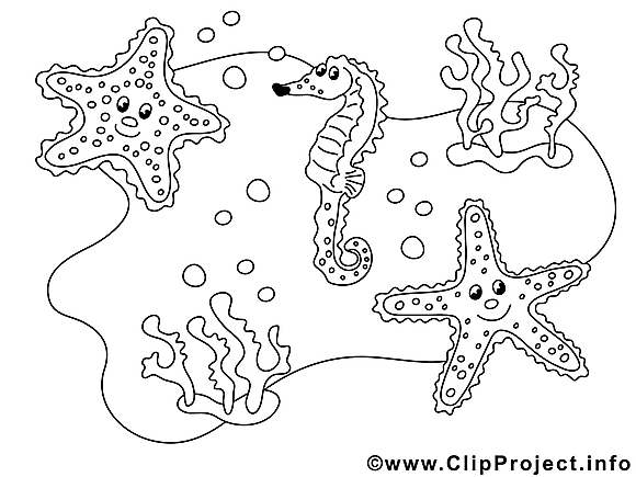 Étoiles de mer dessin – Animal gratuits à imprimer