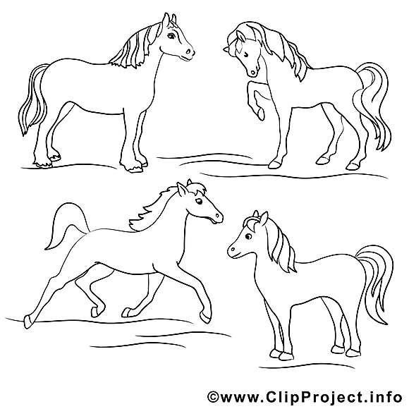 Chevaux dessin – Coloriage cheval à télécharger