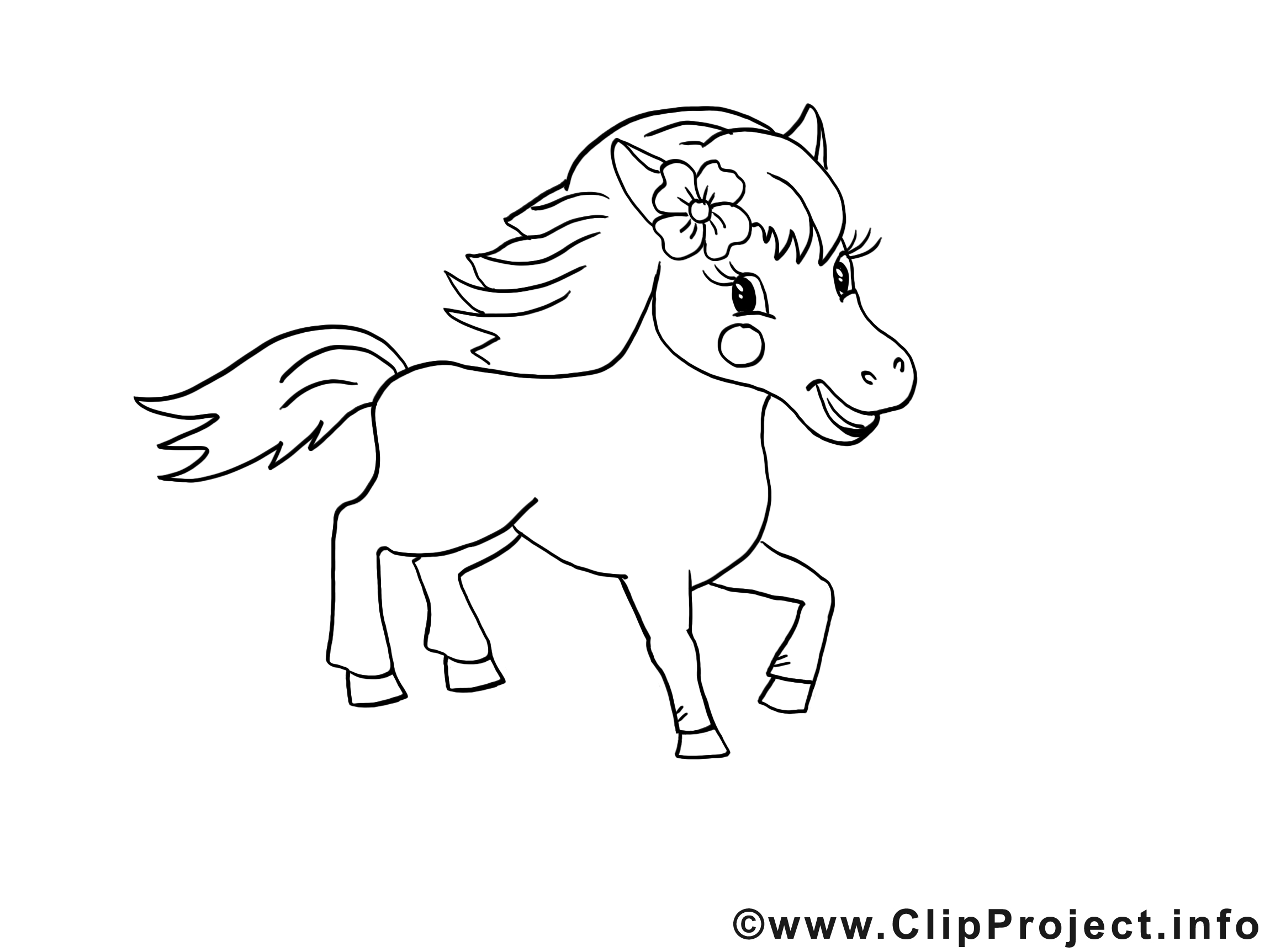 Jolie cheval image – Coloriage cavale illustration