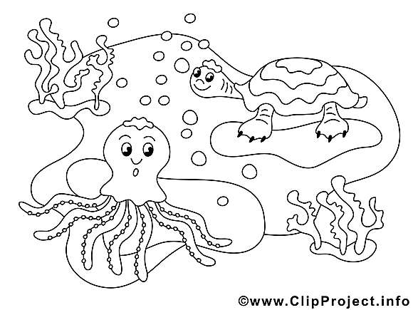 Animaux des océan clip arts à colorier illustrations