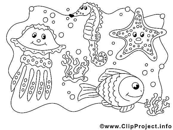 Animaux marin image à colorier clipart