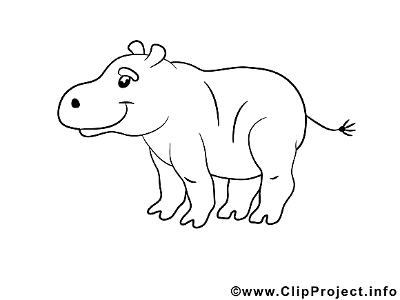 Hippopotame illustration à colorier clipart