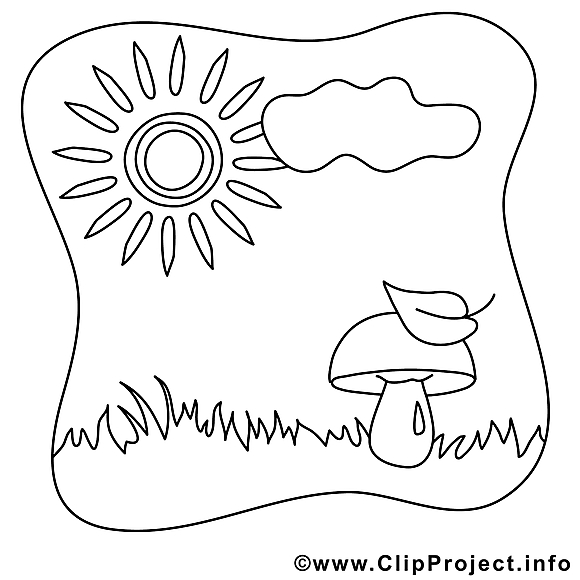 Champignon soleil image – Coloriage été illustration