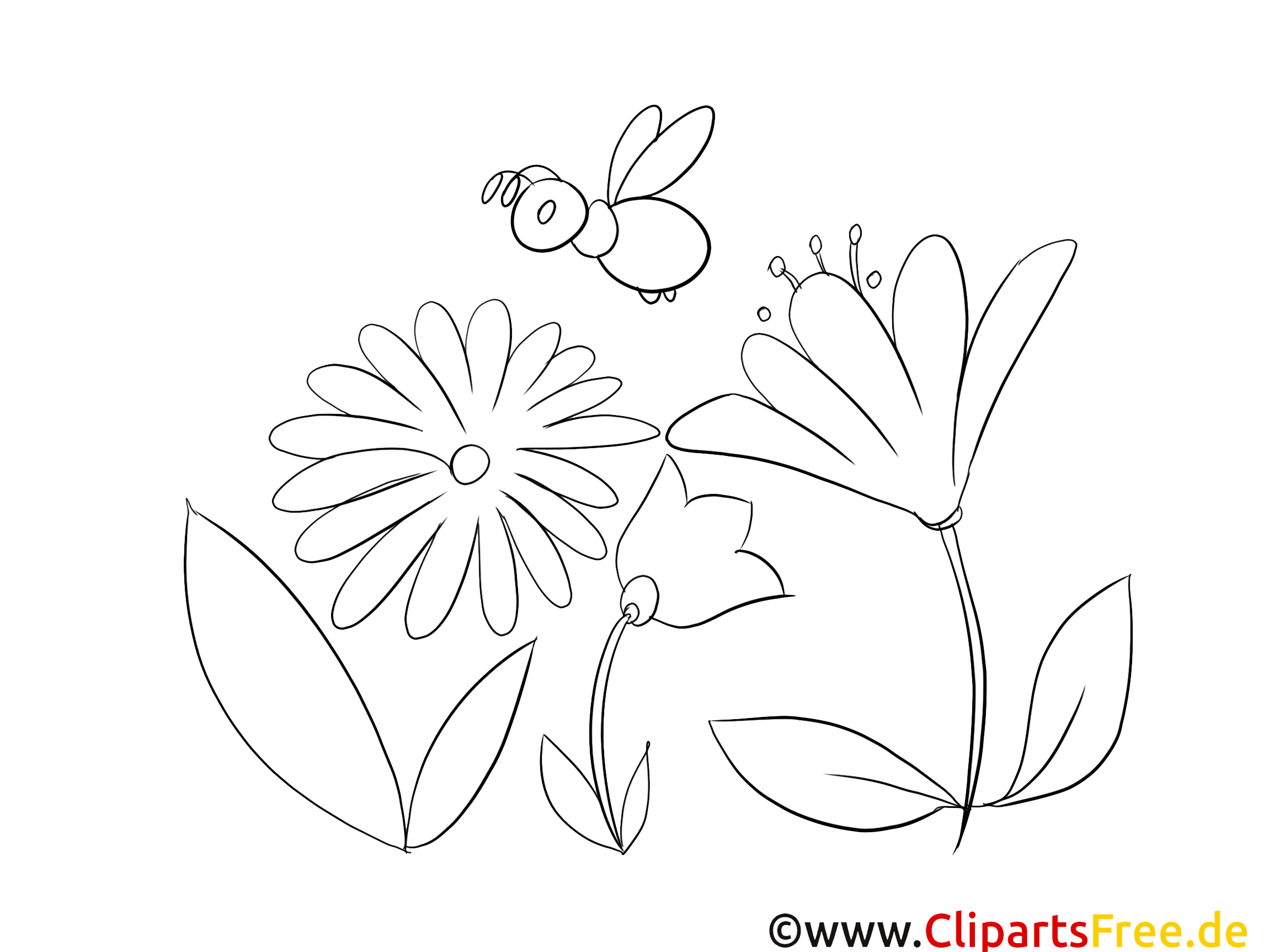 Abeille illustration – Coloriage fleurs cliparts